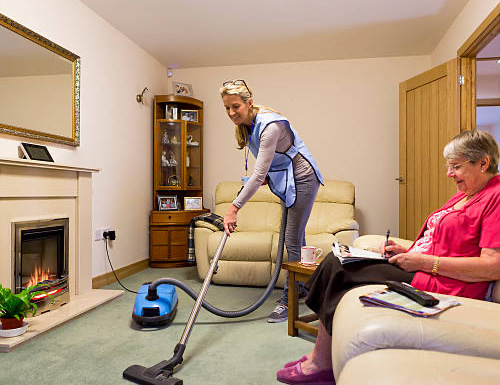 Light Housekeeping & Home Support